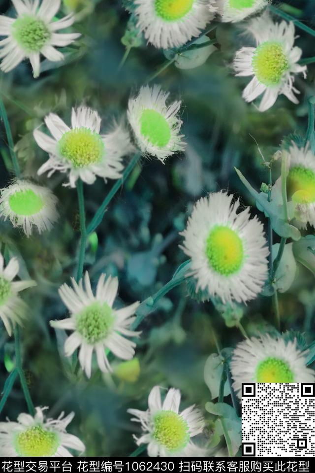 蒲公英的花.jpg - 1062430 - 数码花型 植物 女装 - 数码印花花型 － 女装花型设计 － 瓦栏