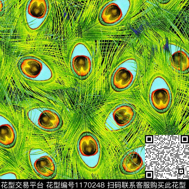 00981.jpg - 1170248 - 数码花型 羽毛 - 数码印花花型 － 泳装花型设计 － 瓦栏