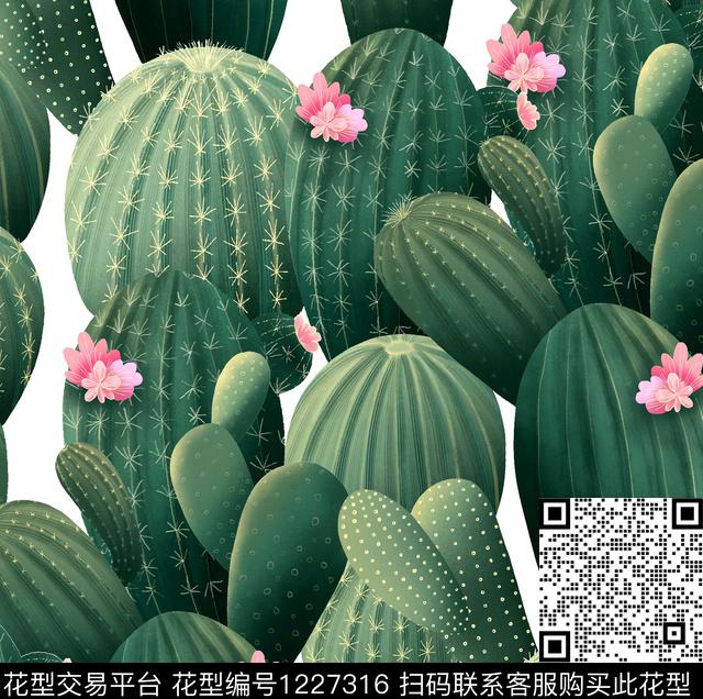 R1905113A.jpg - 1227316 - 火烈鸟 仙人掌 Cactus - 数码印花花型 － 泳装花型设计 － 瓦栏