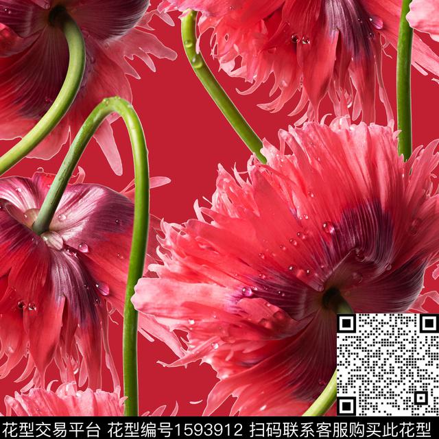 R2411048A.jpg - 1593912 - 撞色 手绘大花 虞美人 - 数码印花花型 － 女装花型设计 － 瓦栏