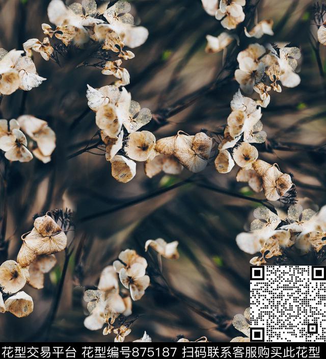 ch.jpg - 875187 - 枯萎花卉 树干 抽象 - 数码印花花型 － 女装花型设计 － 瓦栏