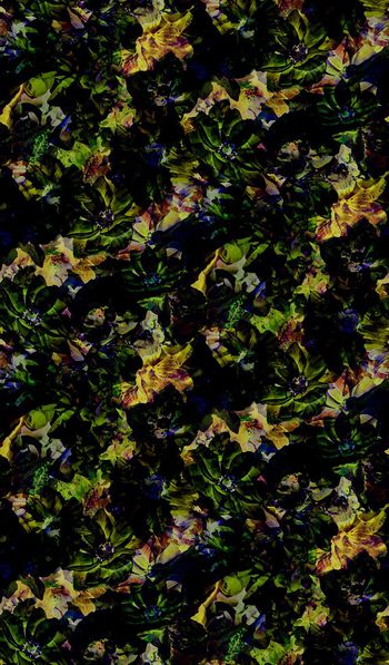 416048-花卉印花壁纸地毯服装花型家纺花型图