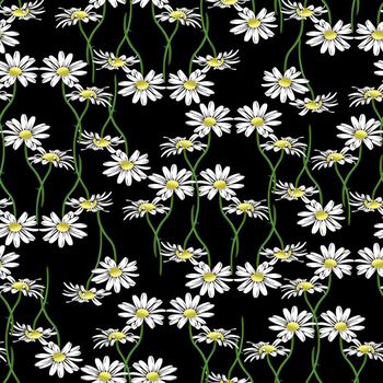 659503-daisys2